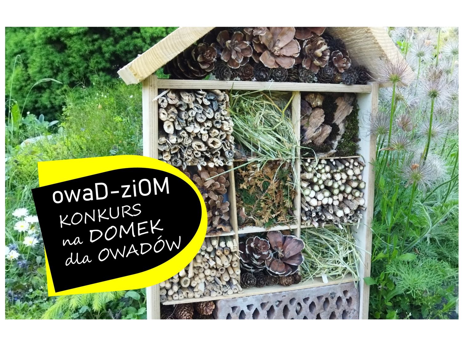 STARTUJE KONKURS NA DOMEK DLA OWADÓW